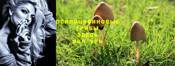шишки Орехово-Зуево