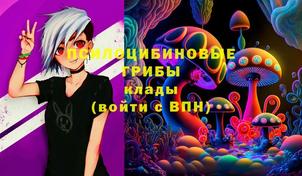спайс Медвежьегорск