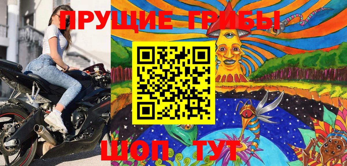 Галлюциногенные грибы мицелий Новоалександровск