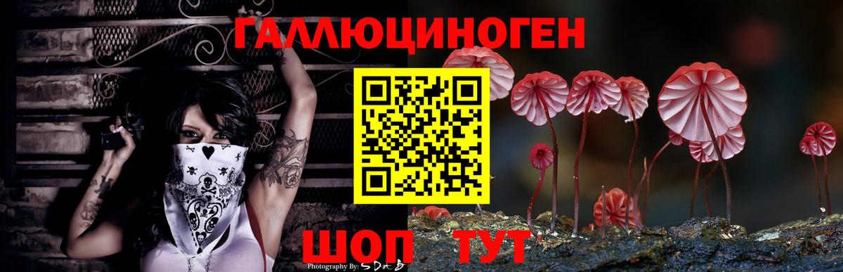 Галлюциногенные грибы ЛСД Новоалександровск