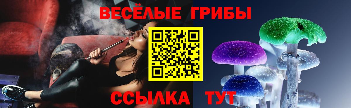 Новоалександровск  Галлюциногенные грибы мицелий  Псилоцибиновые грибы Cubensis  Вход с VPN 