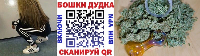 Шишки марихуана планчик mega как войти Новоалександровск