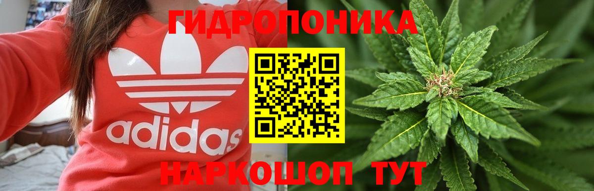 Новоалександровск  Канабис индика  Марихуана марихуана  Вход с VPN 